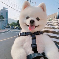 metamask钱包安卓版